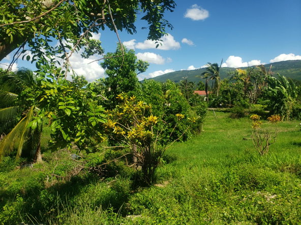 Twenty-Fifth image of Newell, St. Elizabeth in Newell, St. Elizabeth, Jamaica - property is For Sale