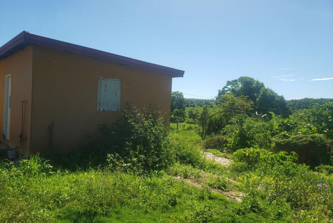 Fifth image of Newell, St. Elizabeth in Newell, St. Elizabeth, Jamaica - property is For Sale