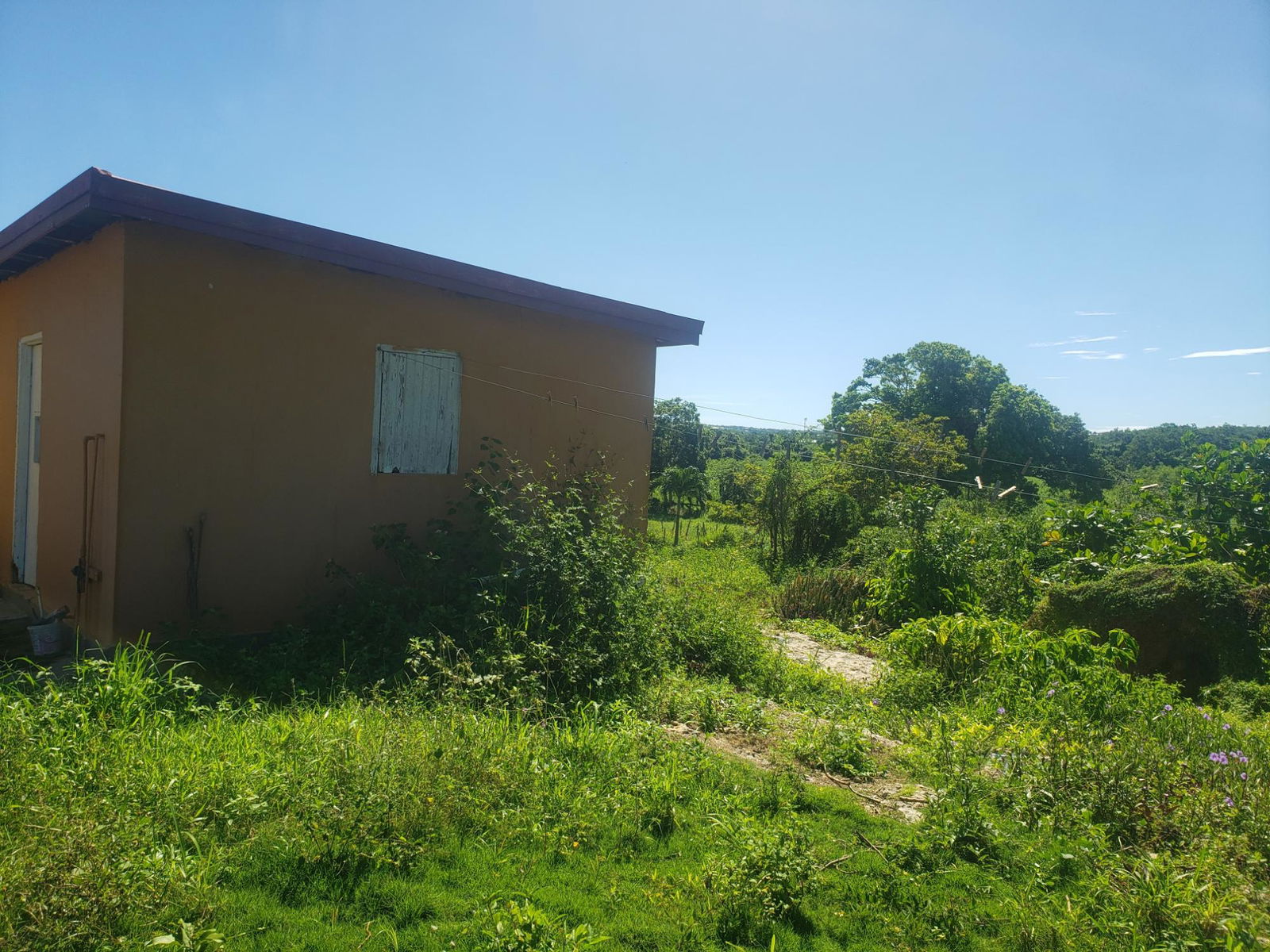 Fifth image of Newell, St. Elizabeth in Newell, St. Elizabeth, Jamaica - property is For Sale