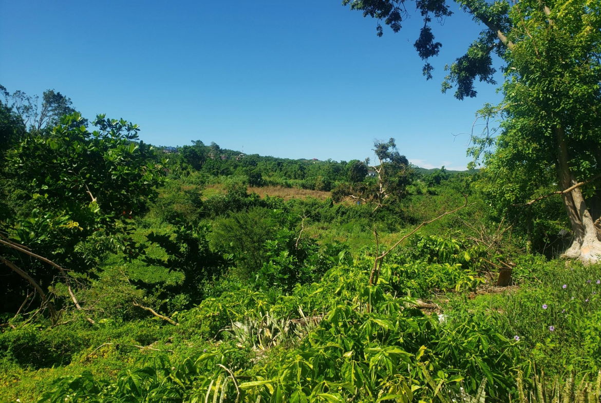 Eighth image of Newell, St. Elizabeth in Newell, St. Elizabeth, Jamaica - property is For Sale