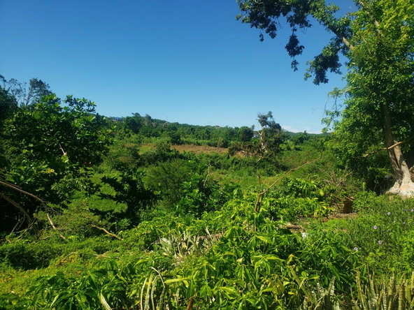 Eighth image of Newell, St. Elizabeth in Newell, St. Elizabeth, Jamaica - property is For Sale