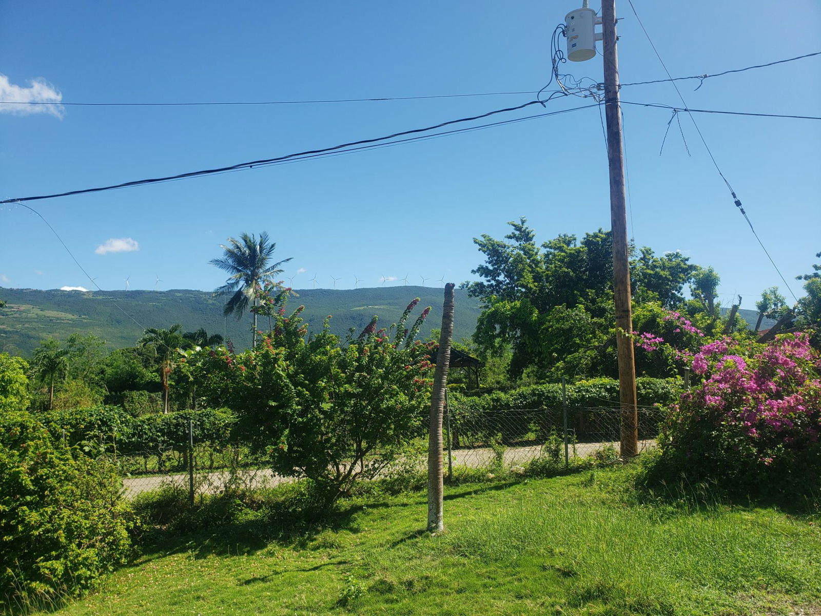 Tenth image of Newell, St. Elizabeth in Newell, St. Elizabeth, Jamaica - property is For Sale