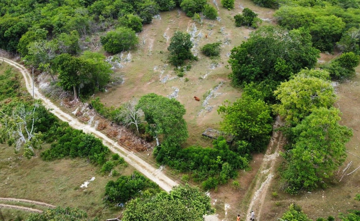 Second image of 185-187 Content, St. James in Adelphi, St. James, Jamaica - property is For Sale