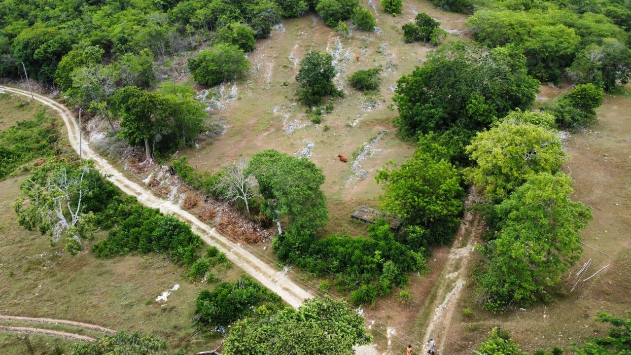 41-Acres-of-Prime-Development-Land-for-Sale-in-St.-James-Jamaica Second image of 185-187 Content, St. James in Adelphi, St. James, Jamaica - property is For Sale