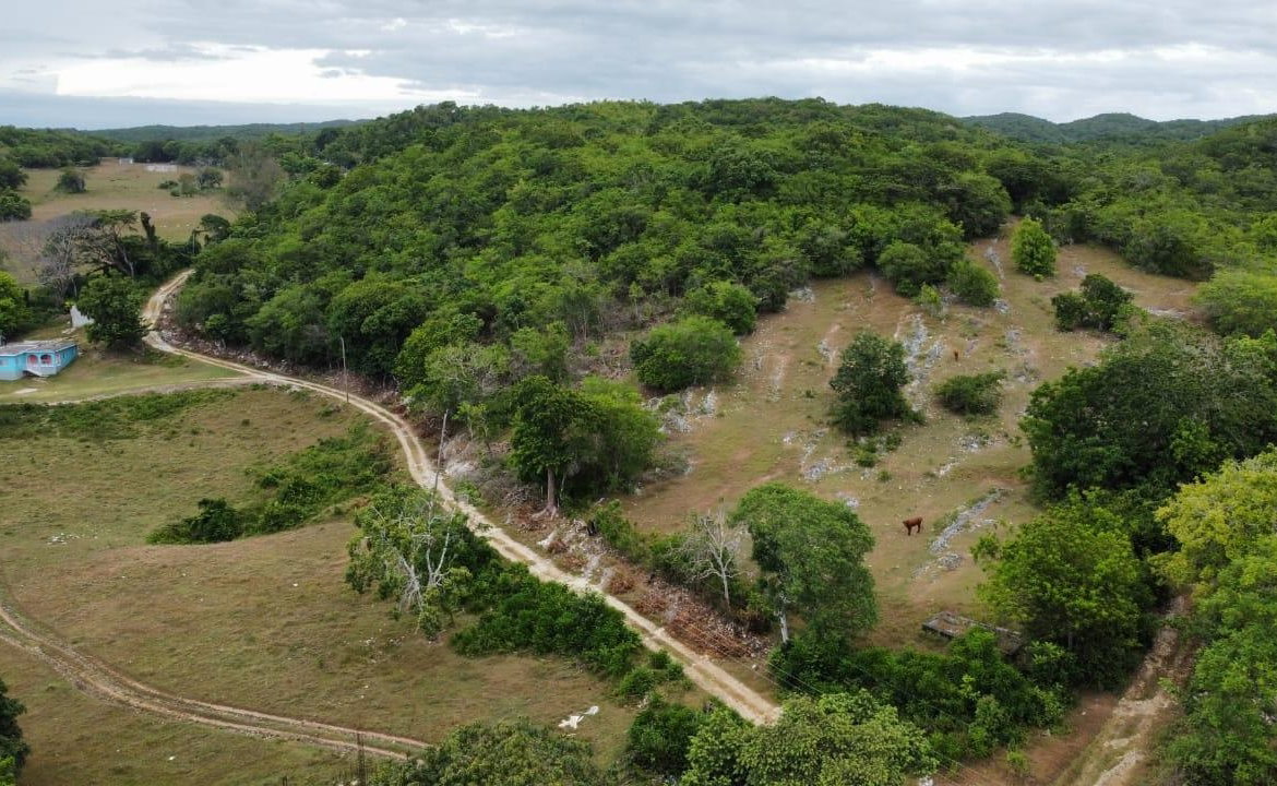 First image of 185-187 Content, St. James in Adelphi, St. James, Jamaica - property is For Sale
