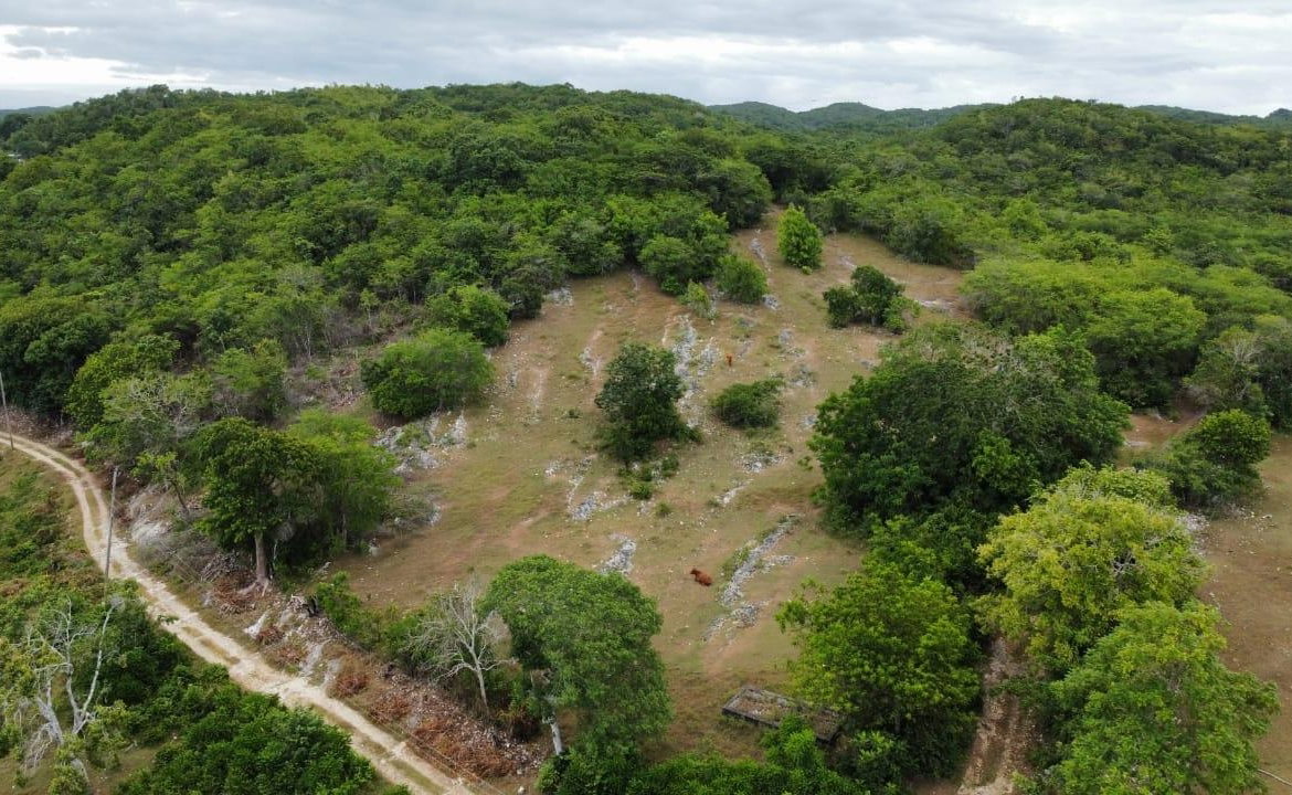 Third image of 185-187 Content, St. James in Adelphi, St. James, Jamaica - property is For Sale