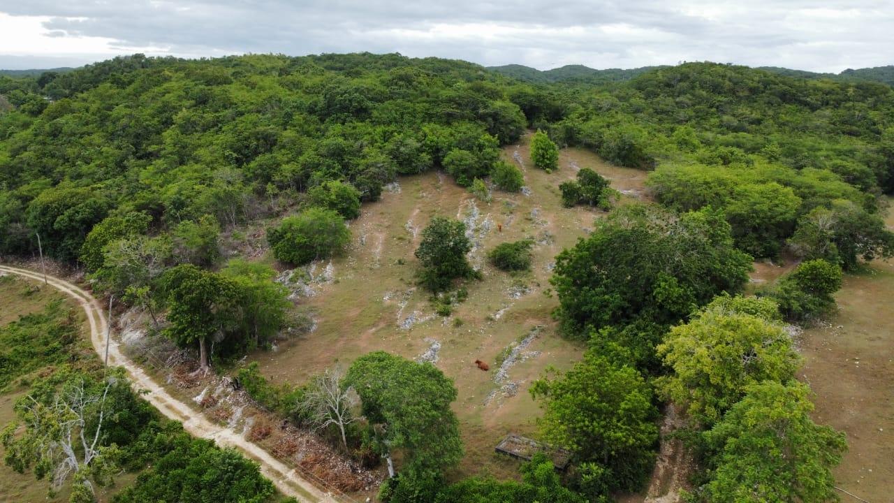 41-Acres-of-Prime-Development-Land-for-Sale-in-St.-James-Jamaica Third image of 185-187 Content, St. James in Adelphi, St. James, Jamaica - property is For Sale
