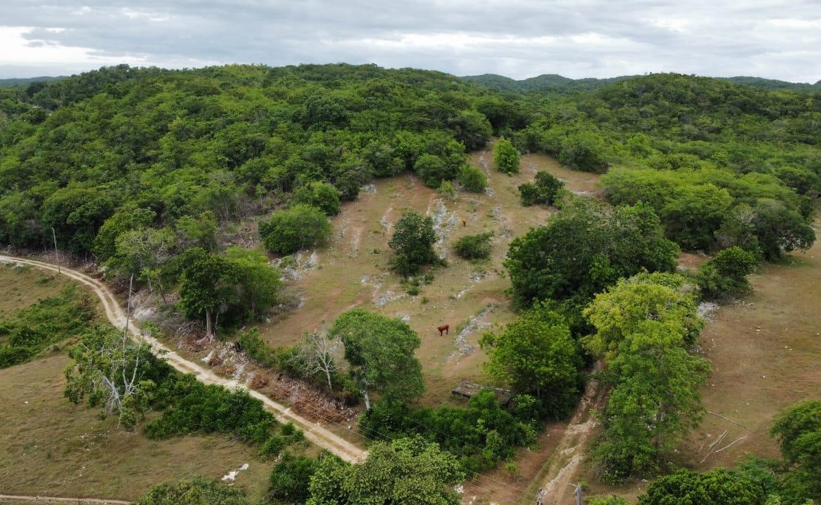 Fourth image of 185-187 Content, St. James in Adelphi, St. James, Jamaica - property is For Sale