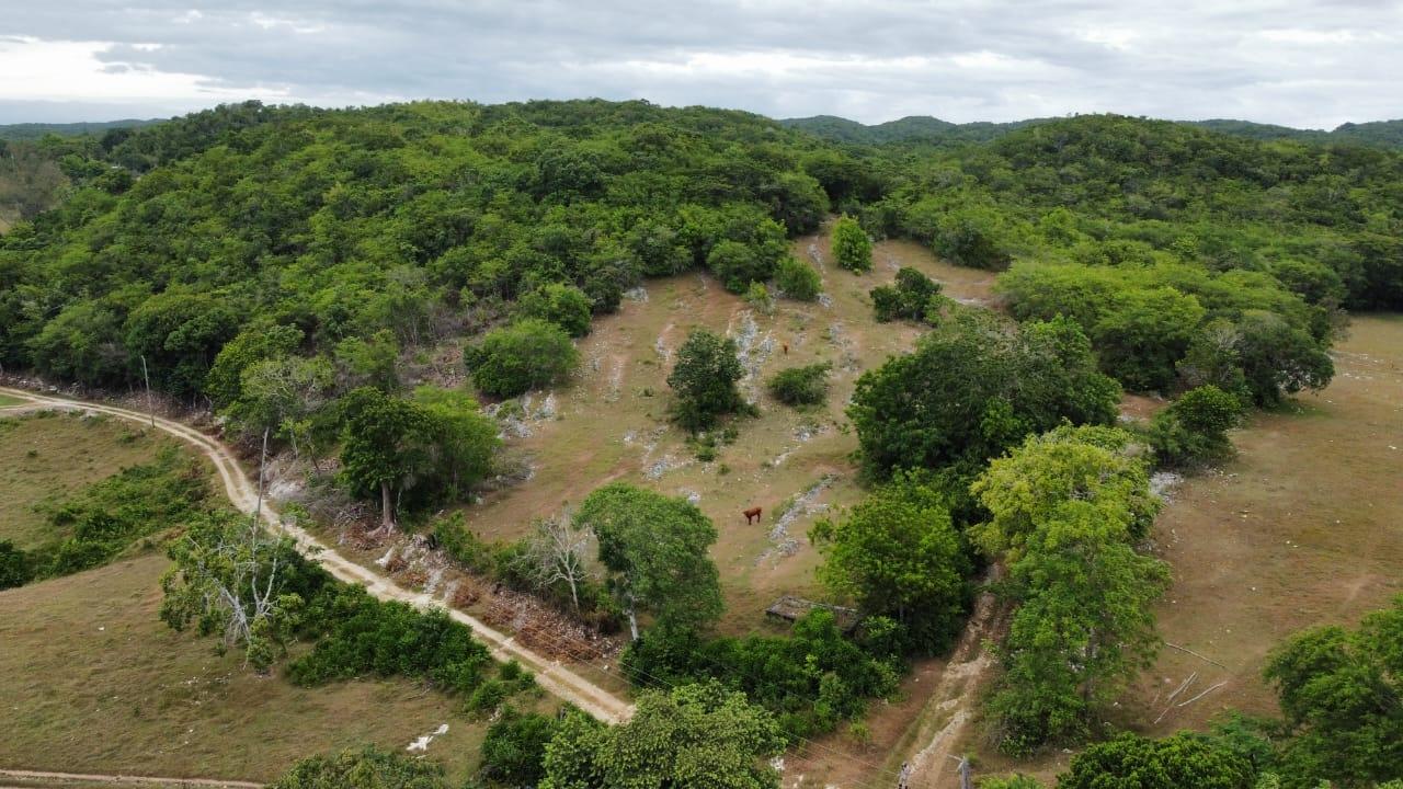41-Acres-of-Prime-Development-Land-for-Sale-in-St.-James-Jamaica Fourth image of 185-187 Content, St. James in Adelphi, St. James, Jamaica - property is For Sale