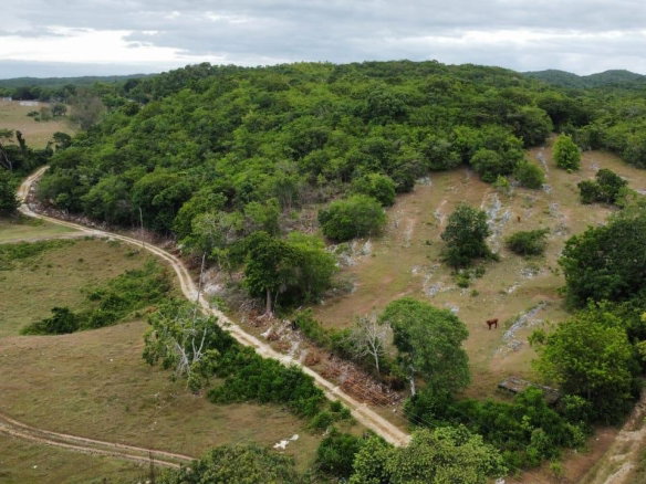 First image of 185-187 Content, St. James in Adelphi, St. James, Jamaica - property is For Sale