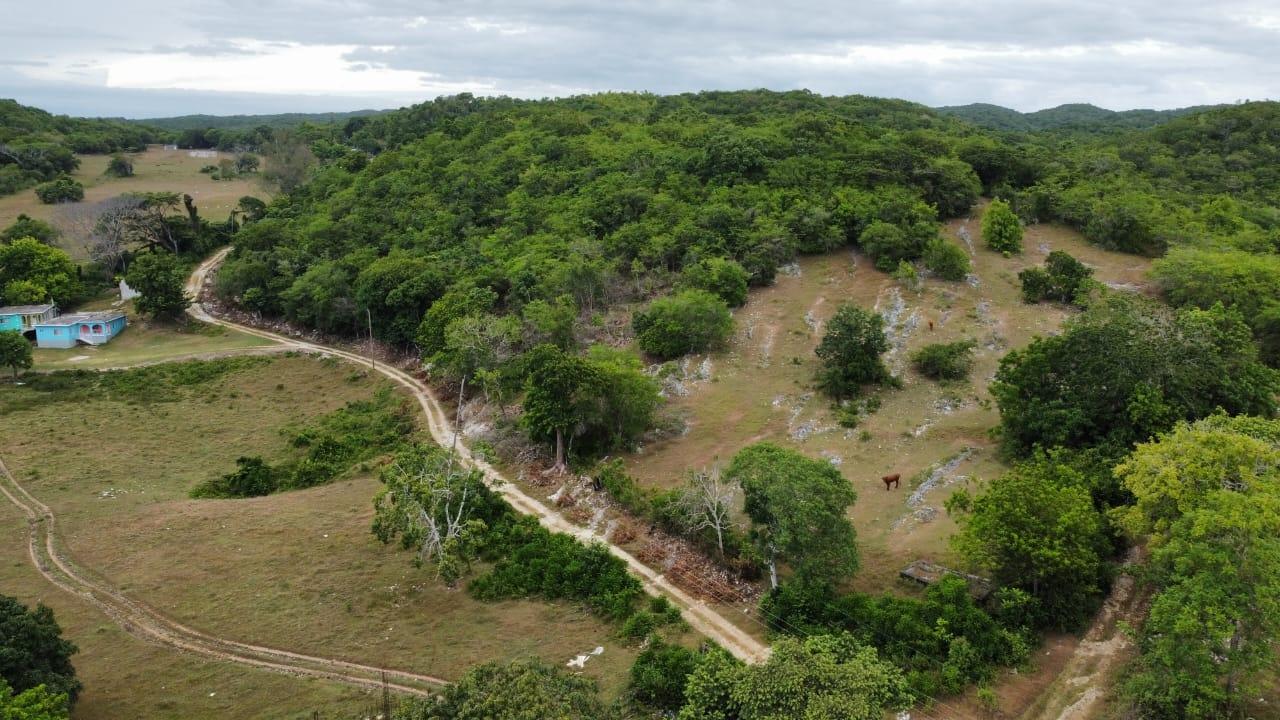 41-Acres-of-Prime-Development-Land-for-Sale-in-St.-James-Jamaica First image of 185-187 Content, St. James in Adelphi, St. James, Jamaica - property is For Sale