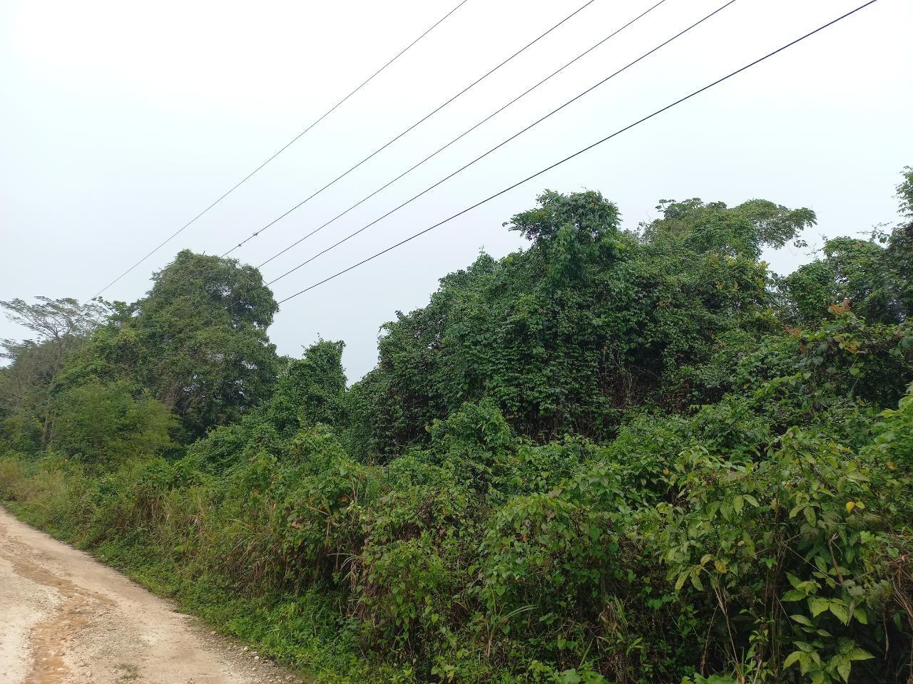 Second image of Retirement in Discovery Bay, St. Ann, Jamaica - property is For Sale