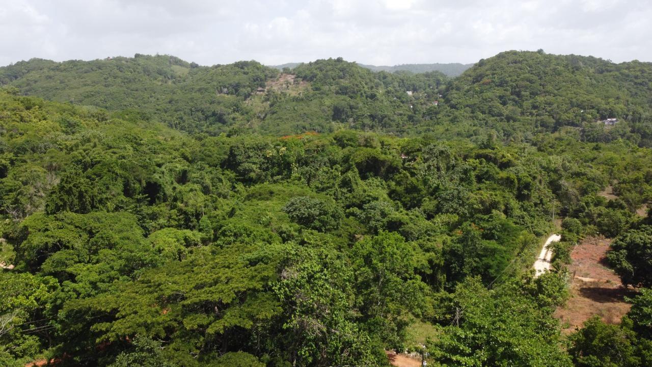 Eleventh image of Retirement in Discovery Bay, St. Ann, Jamaica - property is For Sale