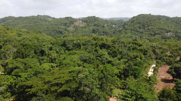 Eleventh image of Retirement in Discovery Bay, St. Ann, Jamaica - property is For Sale