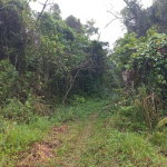 First image of Retirement in Discovery Bay, St. Ann, Jamaica - property is For Sale
