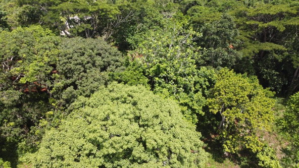 Ninth image of Retirement in Discovery Bay, St. Ann, Jamaica - property is For Sale