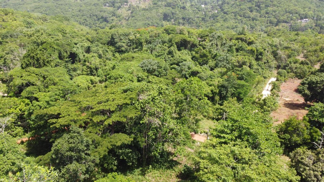 Tenth image of Retirement in Discovery Bay, St. Ann, Jamaica - property is For Sale