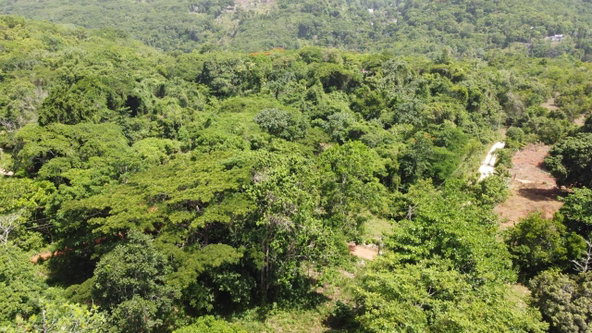 Tenth image of Retirement in Discovery Bay, St. Ann, Jamaica - property is For Sale