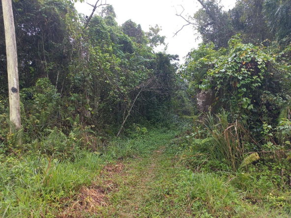First image of Retirement in Discovery Bay, St. Ann, Jamaica - property is For Sale