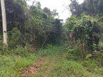 First image of Retirement in Discovery Bay, St. Ann, Jamaica - property is For Sale