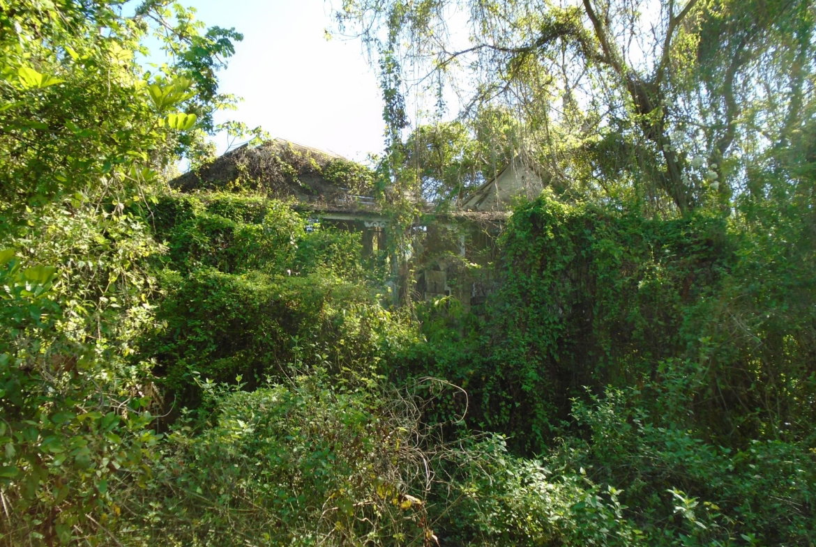 Third image of Dunedin, Cornwall in Lacovia, St. Elizabeth, Jamaica - property is For Sale
