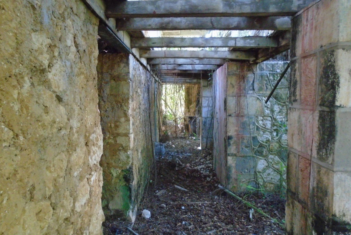 Fourth image of Dunedin, Cornwall in Lacovia, St. Elizabeth, Jamaica - property is For Sale