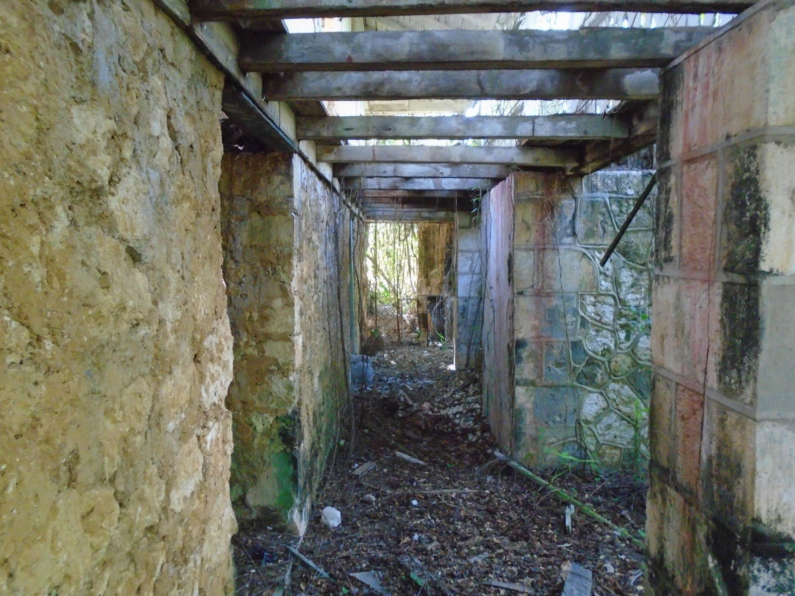 Fourth image of Dunedin, Cornwall in Lacovia, St. Elizabeth, Jamaica - property is For Sale