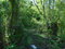First image of Dunedin, Cornwall in Lacovia, St. Elizabeth, Jamaica - property is For Sale
