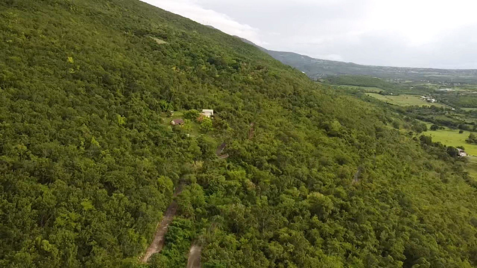 Third image of Land Part of Malvern Well in Malvern Well, St. Elizabeth, Jamaica - property is For Sale