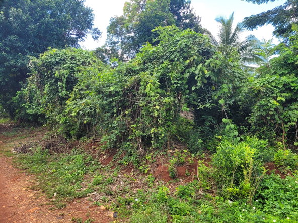 Second image of 2a Emilie Road in KITSON TOWN, St. Catherine, Jamaica - property is For Sale