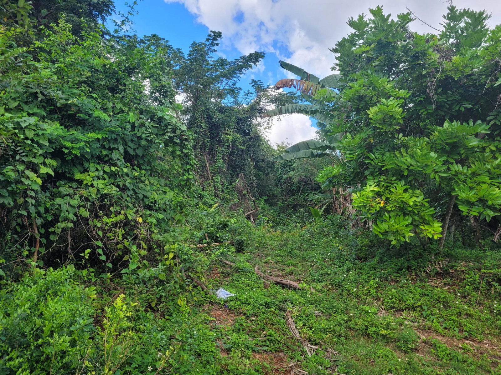 Fourth image of 2a Emilie Road in KITSON TOWN, St. Catherine, Jamaica - property is For Sale