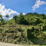 First image of The Pen, Moneague, Main r in Moneague, St. Ann, Jamaica - property is For Sale