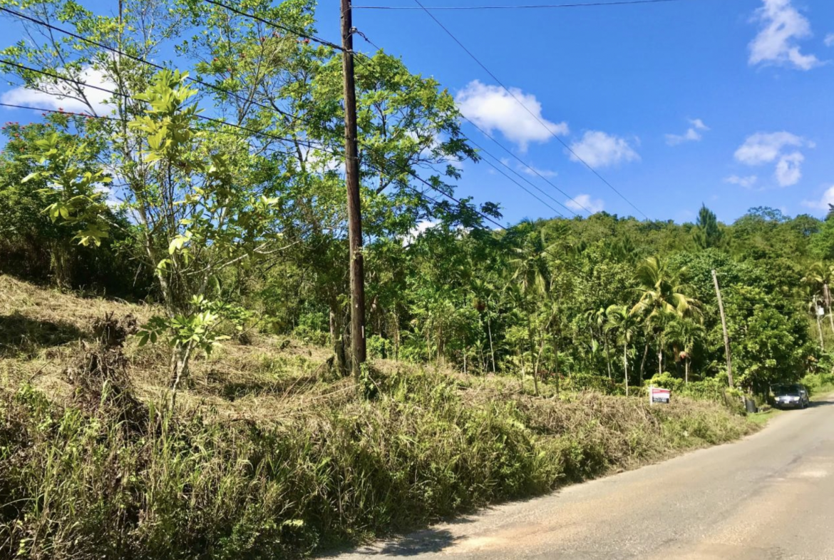 Third image of The Pen, Moneague, Main r in Moneague, St. Ann, Jamaica - property is For Sale