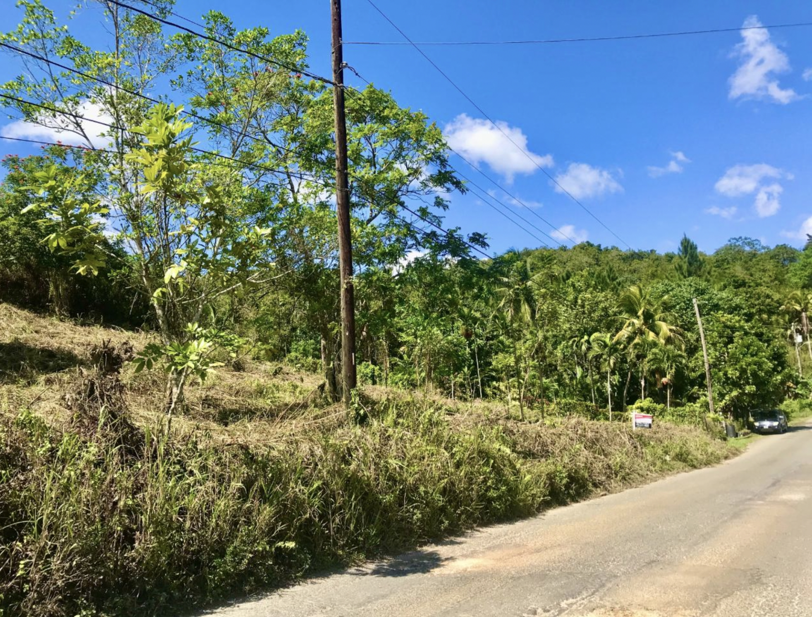 Third image of The Pen, Moneague, Main r in Moneague, St. Ann, Jamaica - property is For Sale