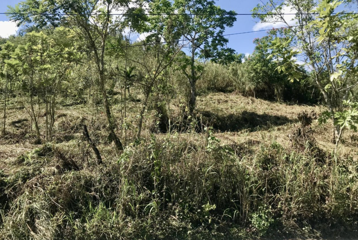 Fourth image of The Pen, Moneague, Main r in Moneague, St. Ann, Jamaica - property is For Sale