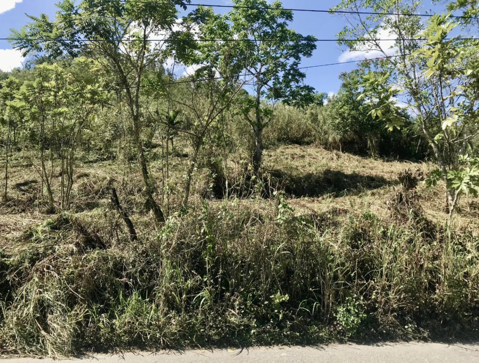 Fourth image of The Pen, Moneague, Main r in Moneague, St. Ann, Jamaica - property is For Sale