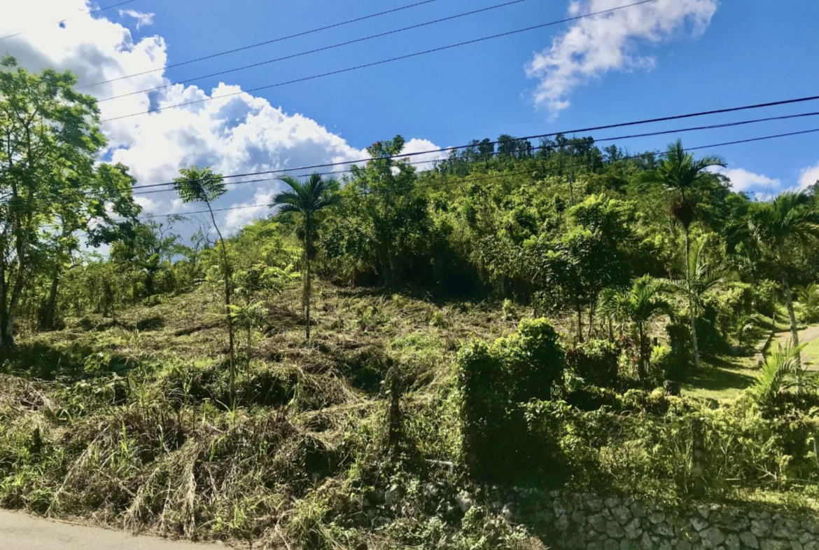 Sixth image of The Pen, Moneague, Main r in Moneague, St. Ann, Jamaica - property is For Sale