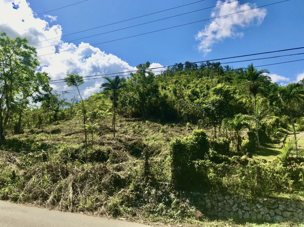 First image of The Pen, Moneague, Main r in Moneague, St. Ann, Jamaica - property is For Sale