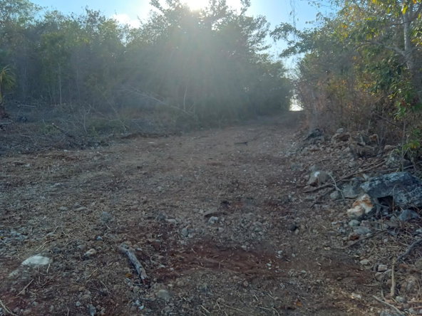 Fifth image of 5 Unity Hall St. James in Montego Bay, St. James, Jamaica - property is For Sale