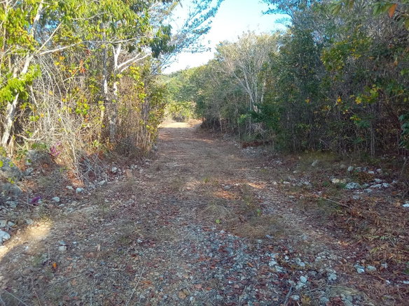 First image of 2 Unity Hall St. James in Montego Bay, St. James, Jamaica - property is For Sale
