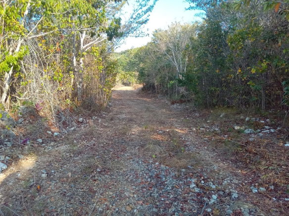 First image of 5 Unity Hall St. James in Montego Bay, St. James, Jamaica - property is For Sale