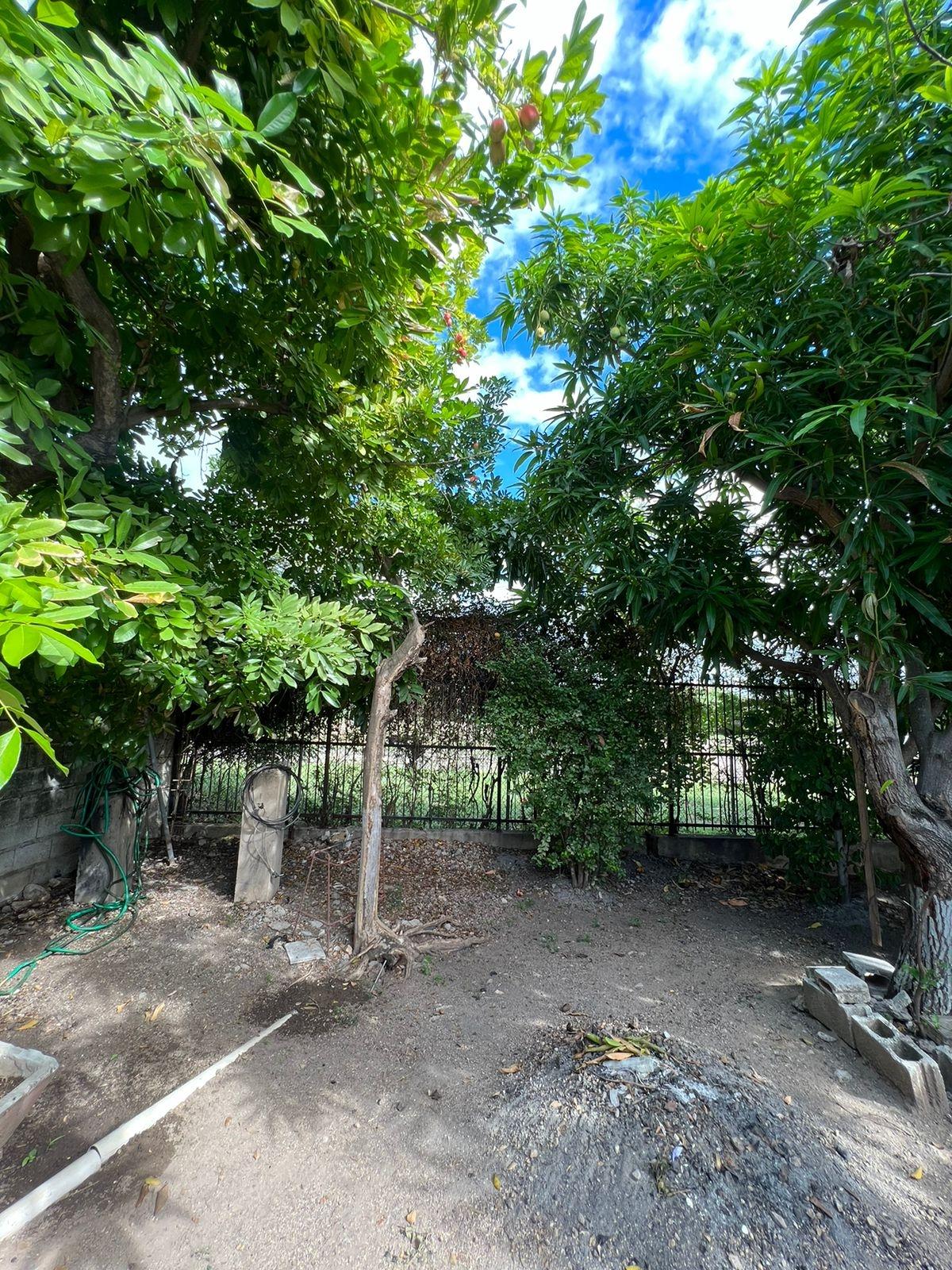 Ninth image of Sargasso in Kingston 17, St. Andrew, Jamaica - property is For Sale