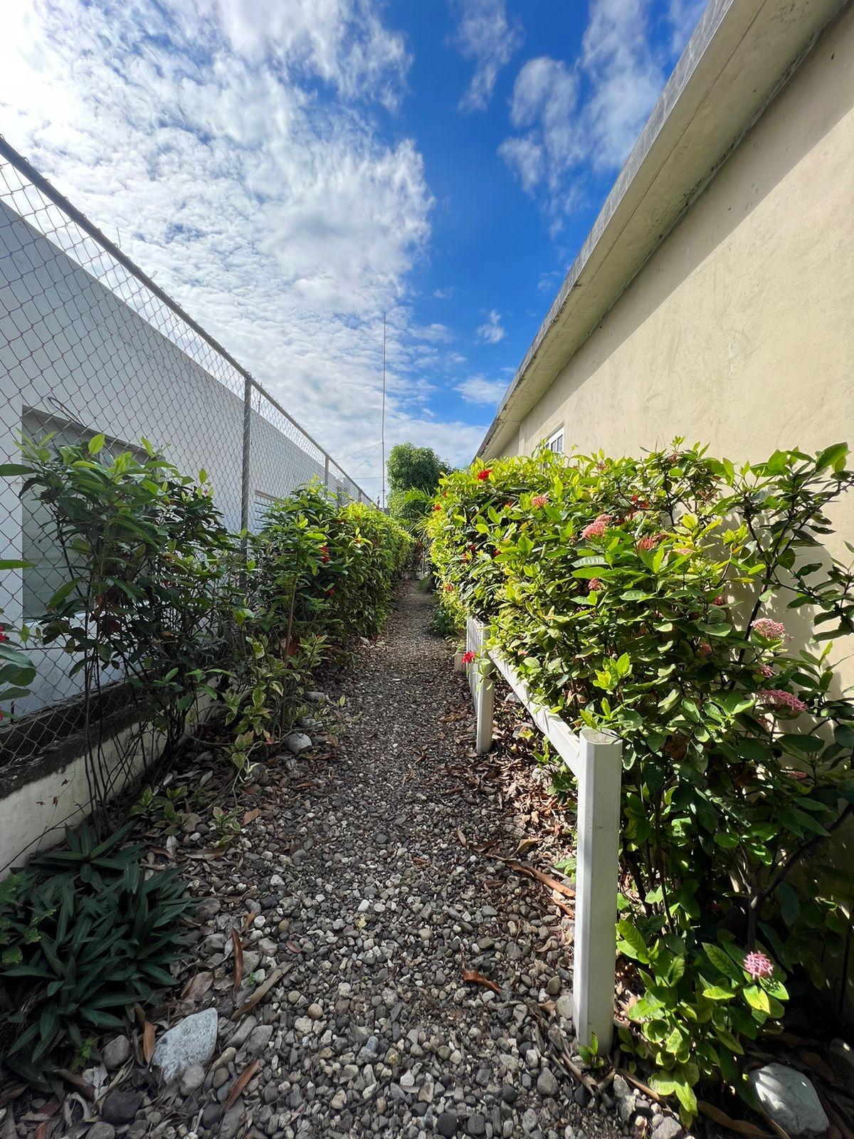Tenth image of Sargasso in Kingston 17, St. Andrew, Jamaica - property is For Sale