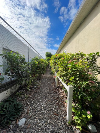 Tenth image of Sargasso in Kingston 17, St. Andrew, Jamaica - property is For Sale