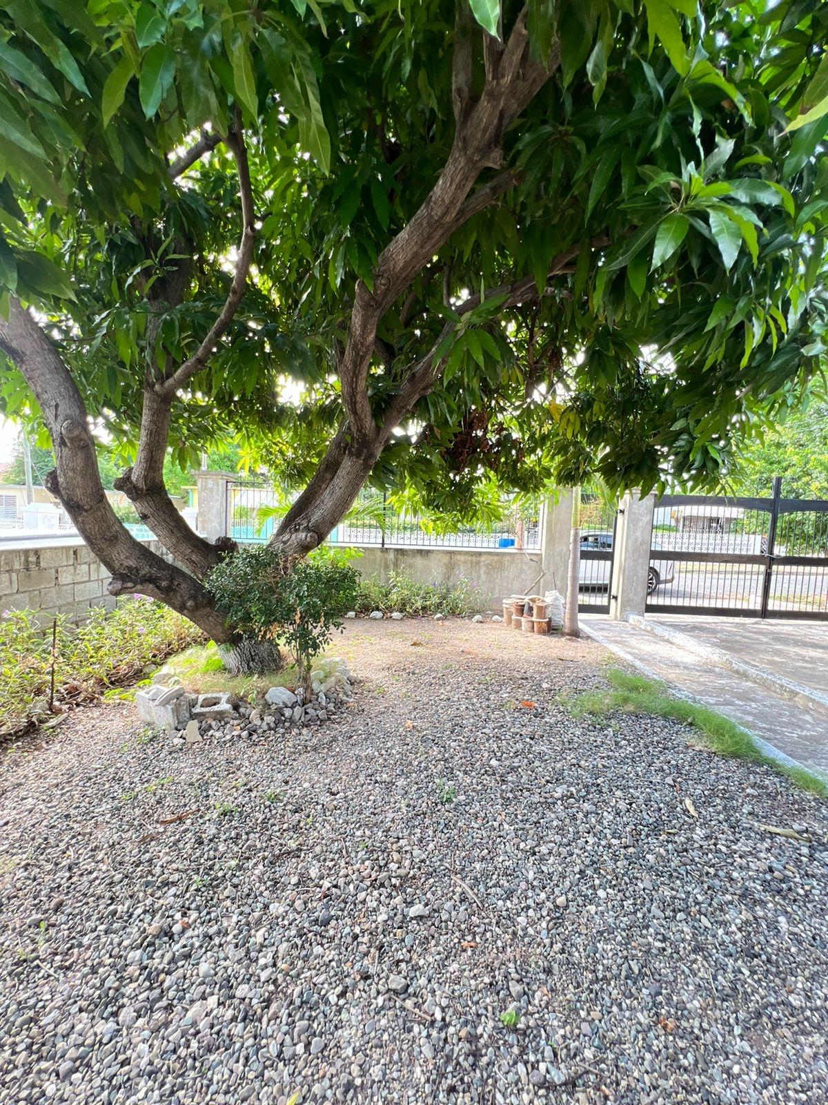 Eleventh image of Sargasso in Kingston 17, St. Andrew, Jamaica - property is For Sale