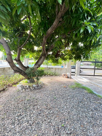 Eleventh image of Sargasso in Kingston 17, St. Andrew, Jamaica - property is For Sale