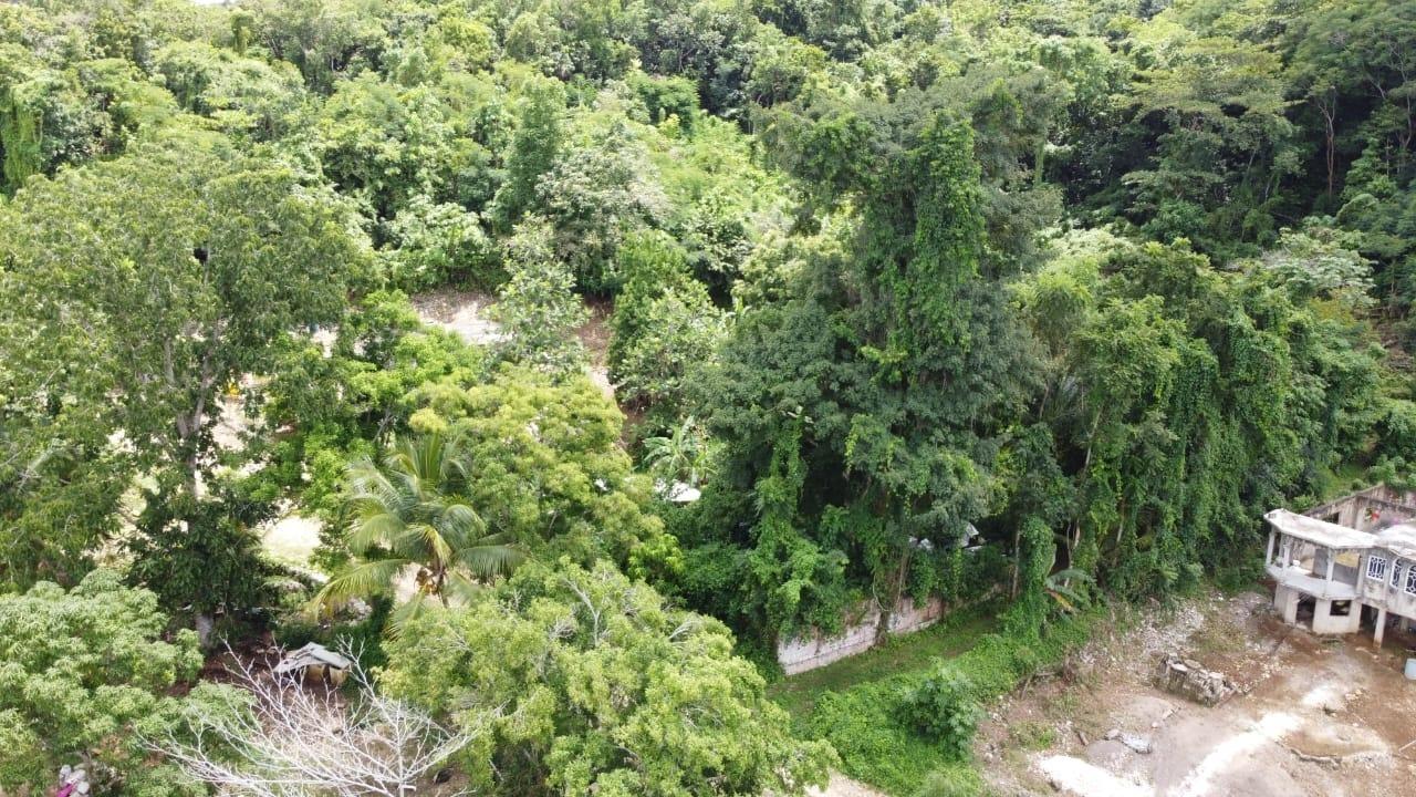 5.04-Acres-Ocean-View-Land-for-Sale-in-Bowen-Hill-Montego-Bay Eleventh image of Ramble Hill in Montego Bay, St. James, Jamaica - property is For Sale