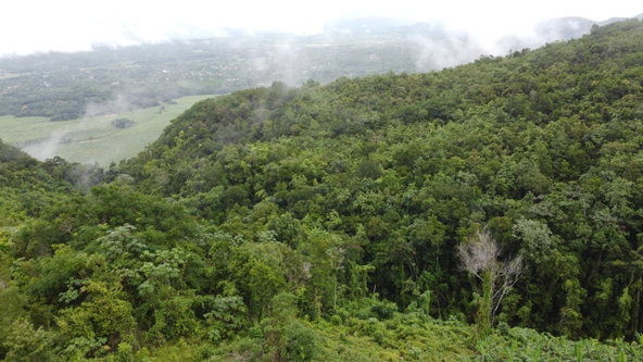 Twelfth image of Windover, Sligoville in Sligoville, St. Catherine, Jamaica - property is For Sale