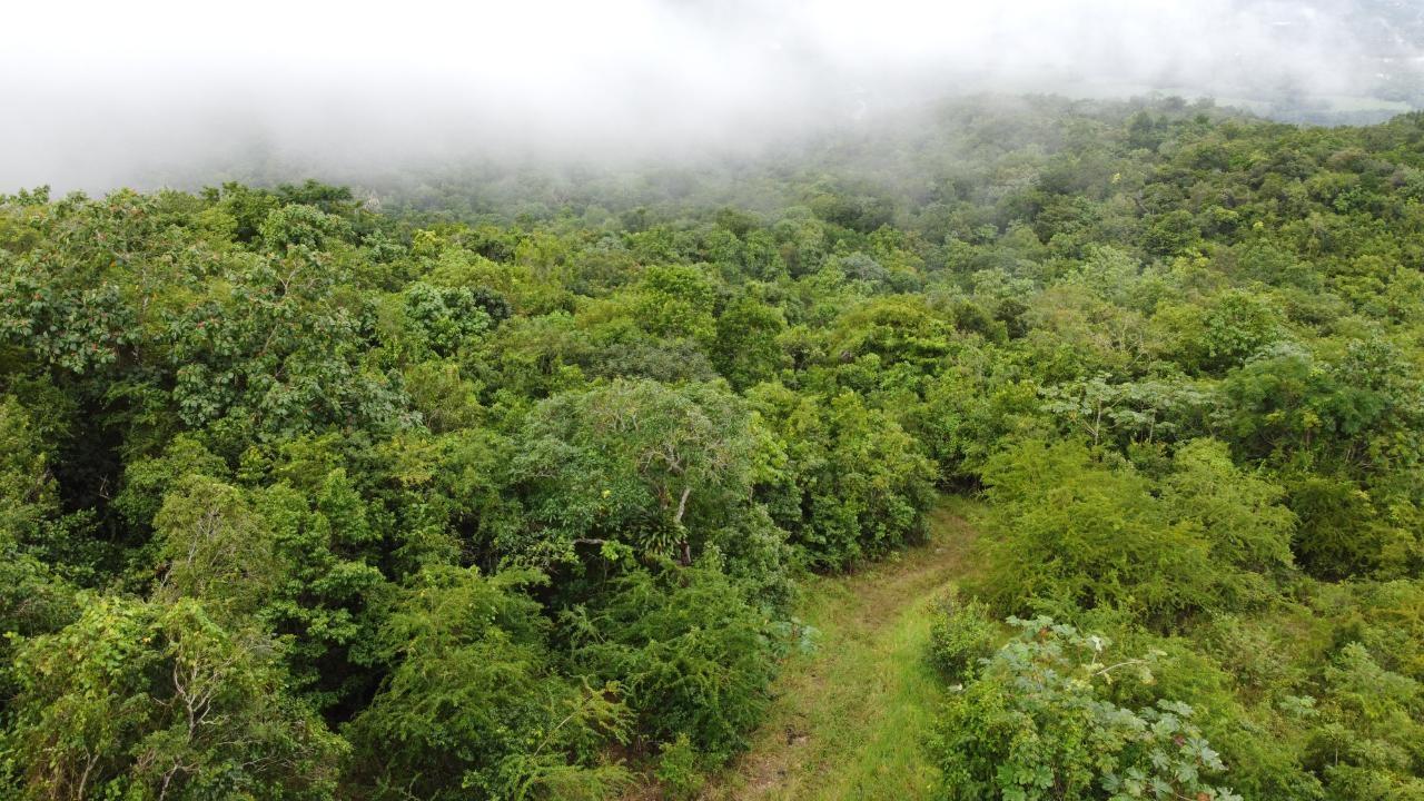 Fourteenth image of Windover, Sligoville in Sligoville, St. Catherine, Jamaica - property is For Sale