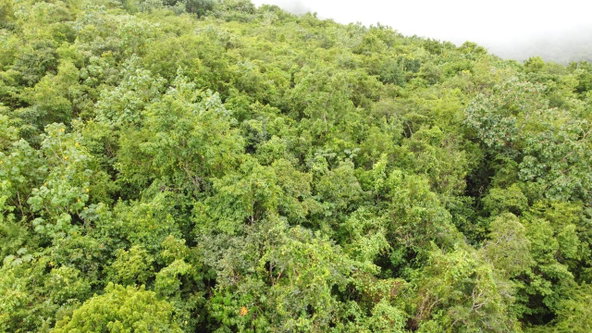 Fifteenth image of Windover, Sligoville in Sligoville, St. Catherine, Jamaica - property is For Sale